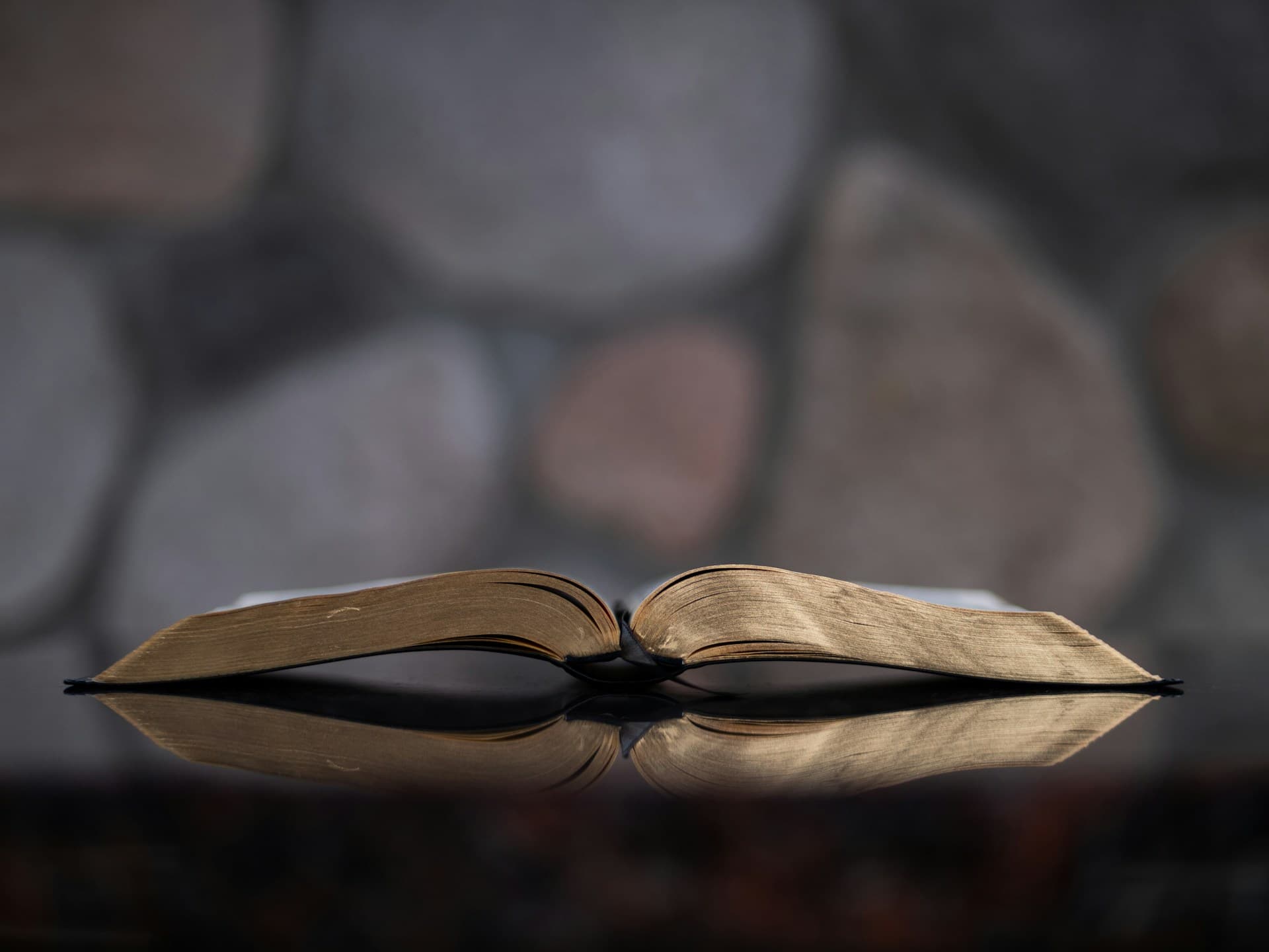 Bible Study